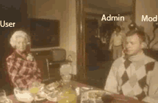 41.gif