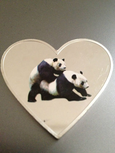 panda.jpg