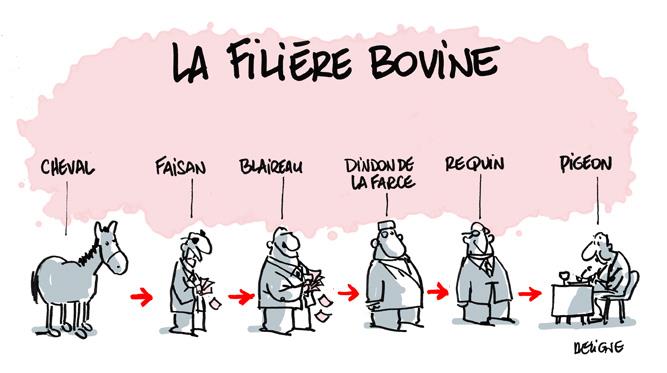filière bovine.jpg