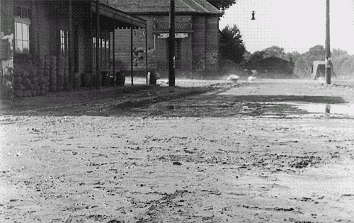 buster10.gif