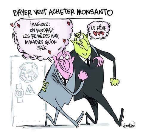 Monsanto-Bayer-2.jpg