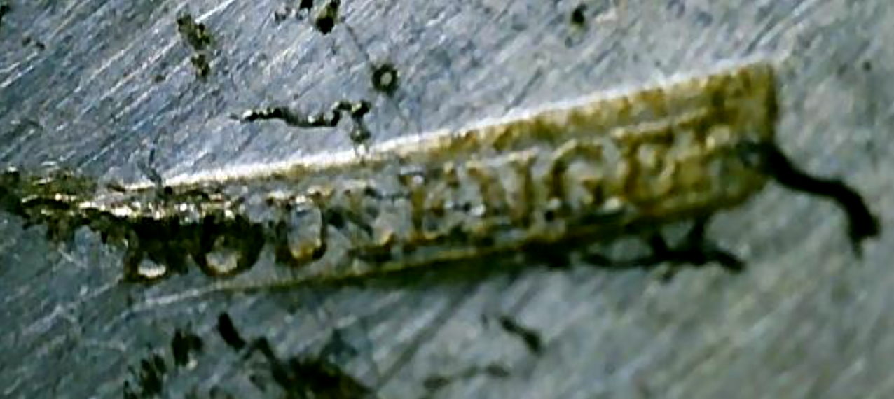 Capture d'écran 2026-01-13 210552.png