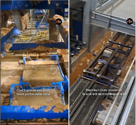 20260115 - France 3 Picardie - Usine Ynsect.jpg