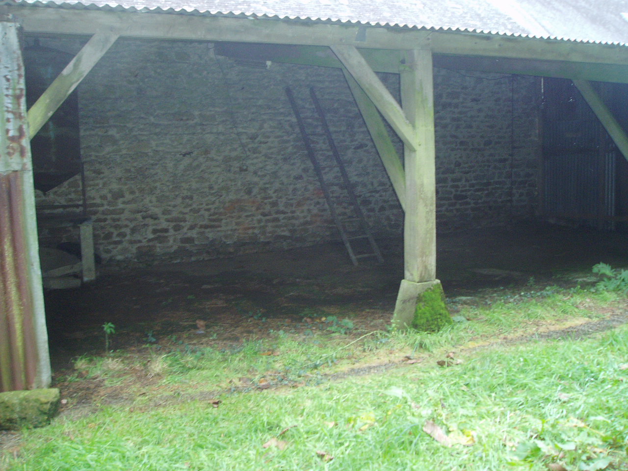 P1010058.JPG
