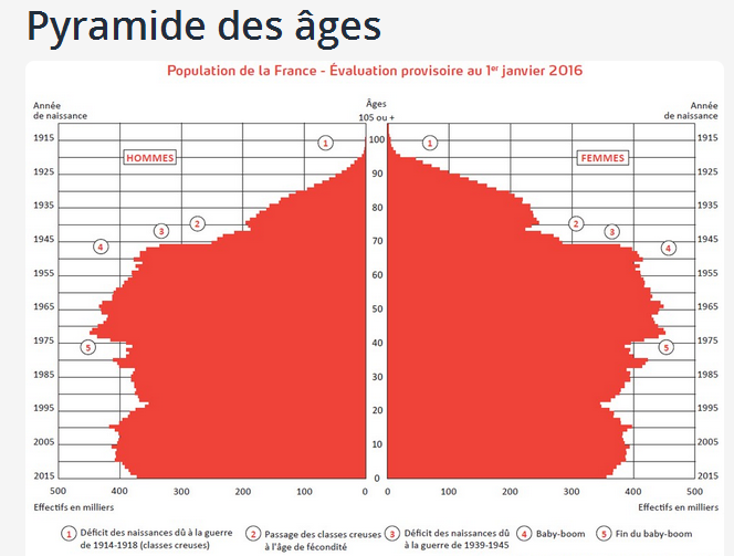 Pyramide des âges.png
