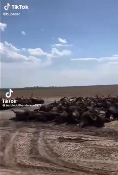 Kansas.jpg