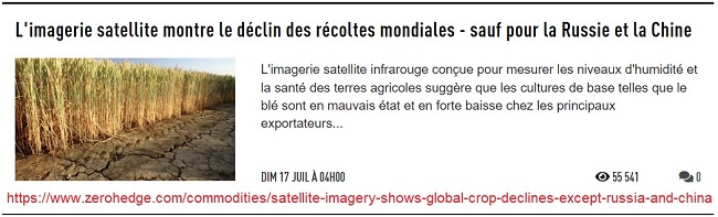 20220717 - récoltes.jpg