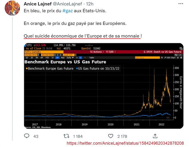 20221023 - Anice Lajnef - Prix du gaz USA vs. UE_650.jpg