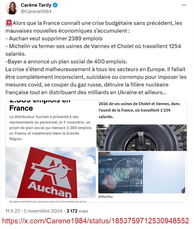 20241105 - Michelin - Auchan - Bayer_650.jpg