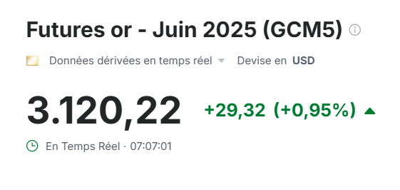 Capture d'écran 2025-03-28 070821.png